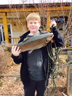 Steelhead Techniques For Lake Erie Tributaries-by Tim Trainer