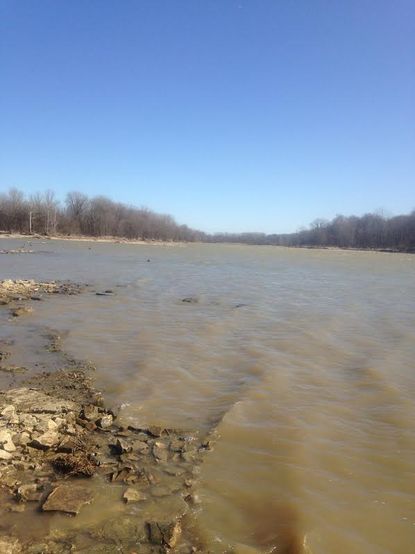 Maumee River and Lake Erie report