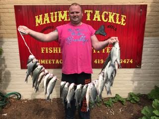 My first white bass. : r/bassfishing