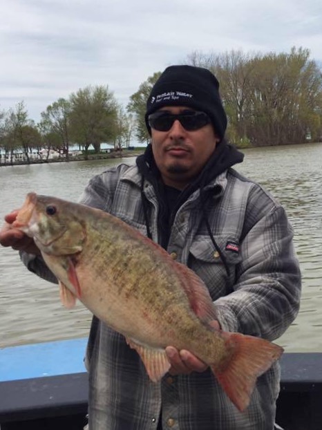 Big ole Smallmouth Bass caught on Lake Erie's Trophy Image'