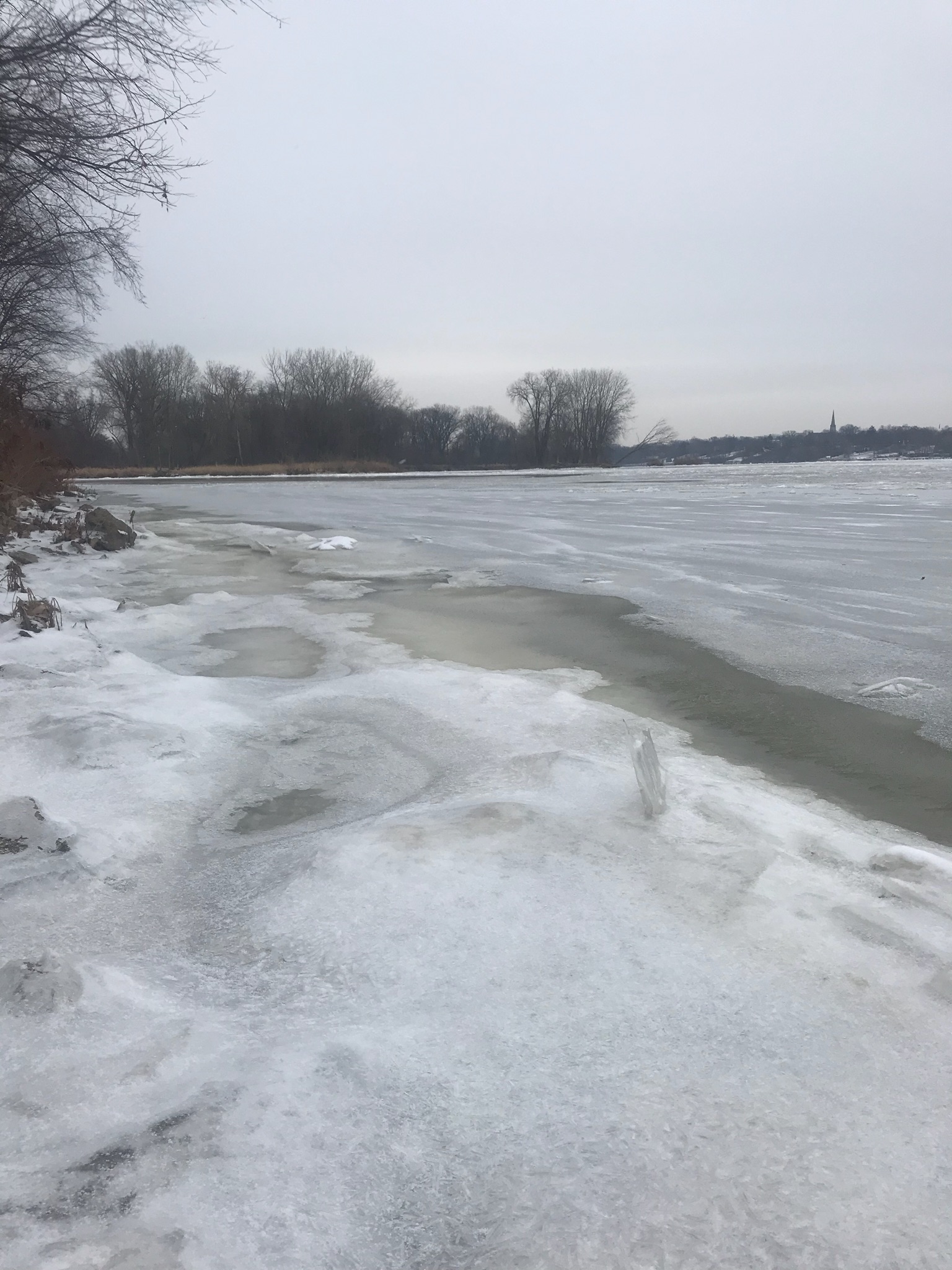 Maumee River and Lake Erie Report-December 13 2017