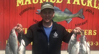 Maumee River Report