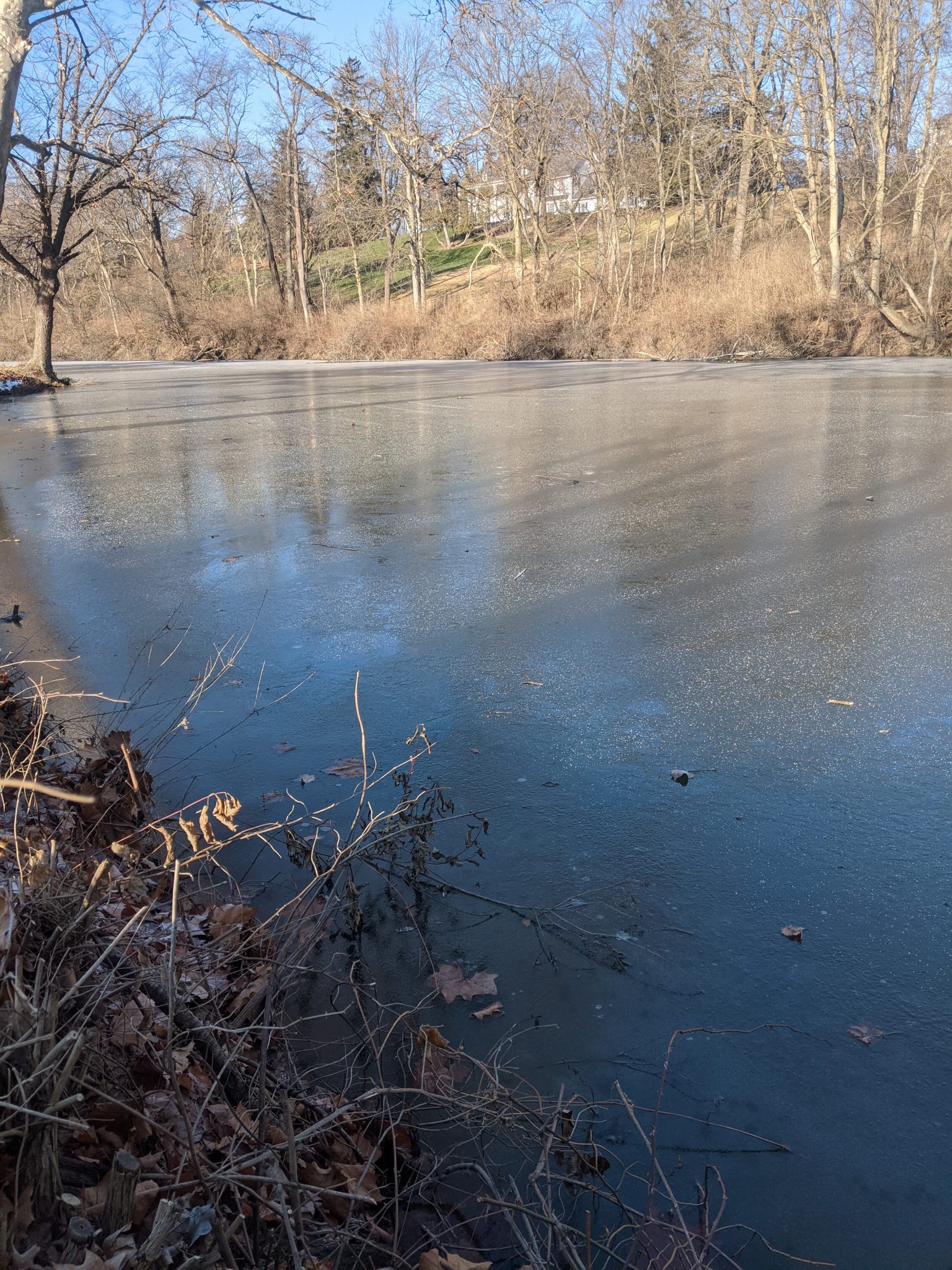 Maumee river Report- 30 December 2020