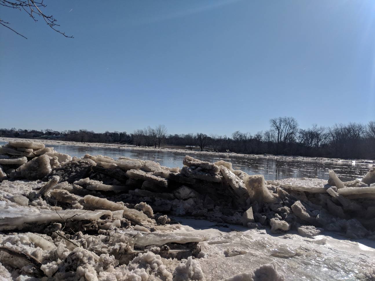 Maumee River Report- 8 Febuary 2019