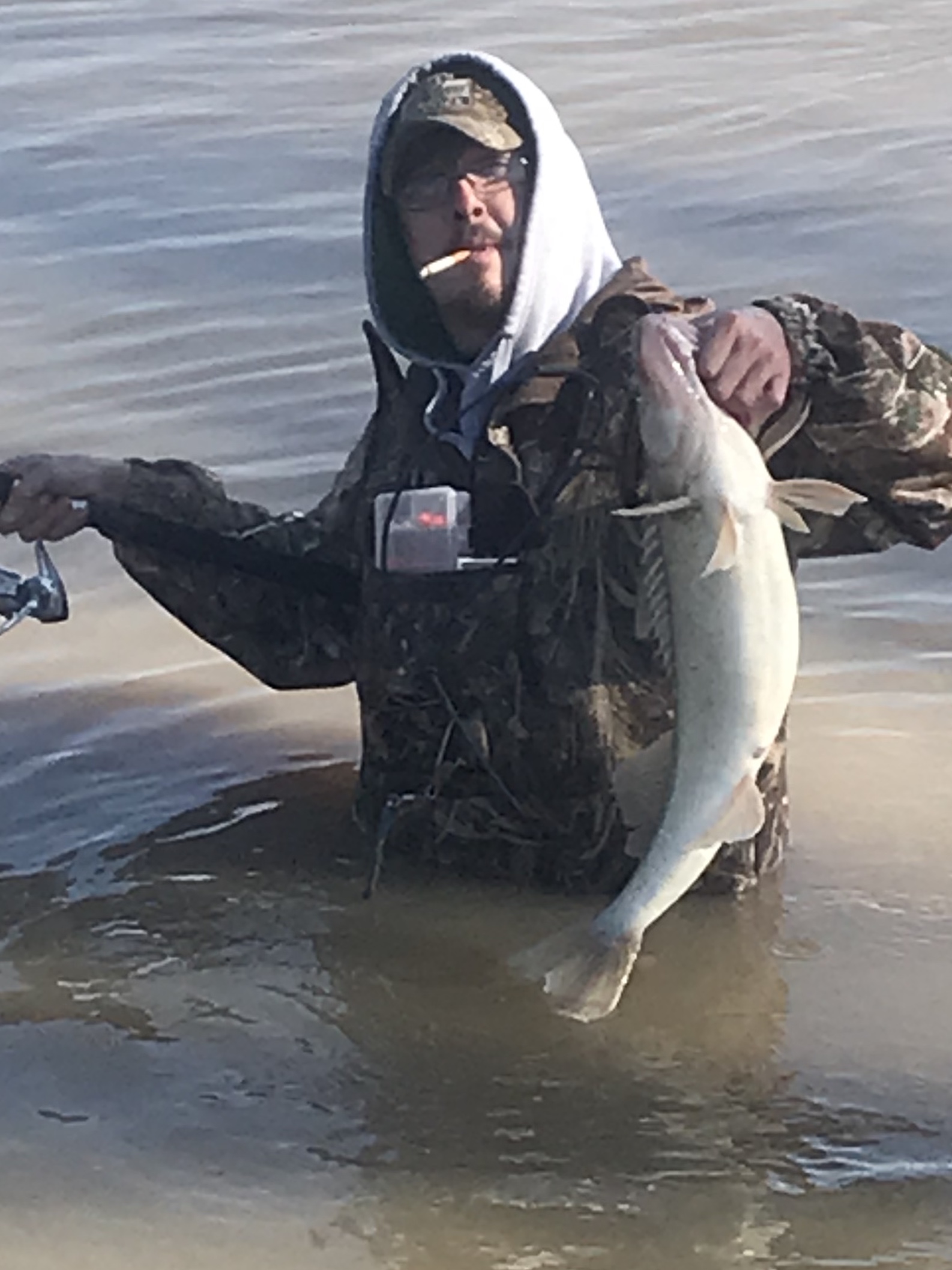 Maumee River Report- March 7 , 2018