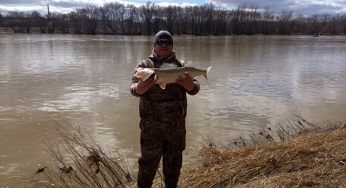 Maumee River Report- March 12 , 2018
