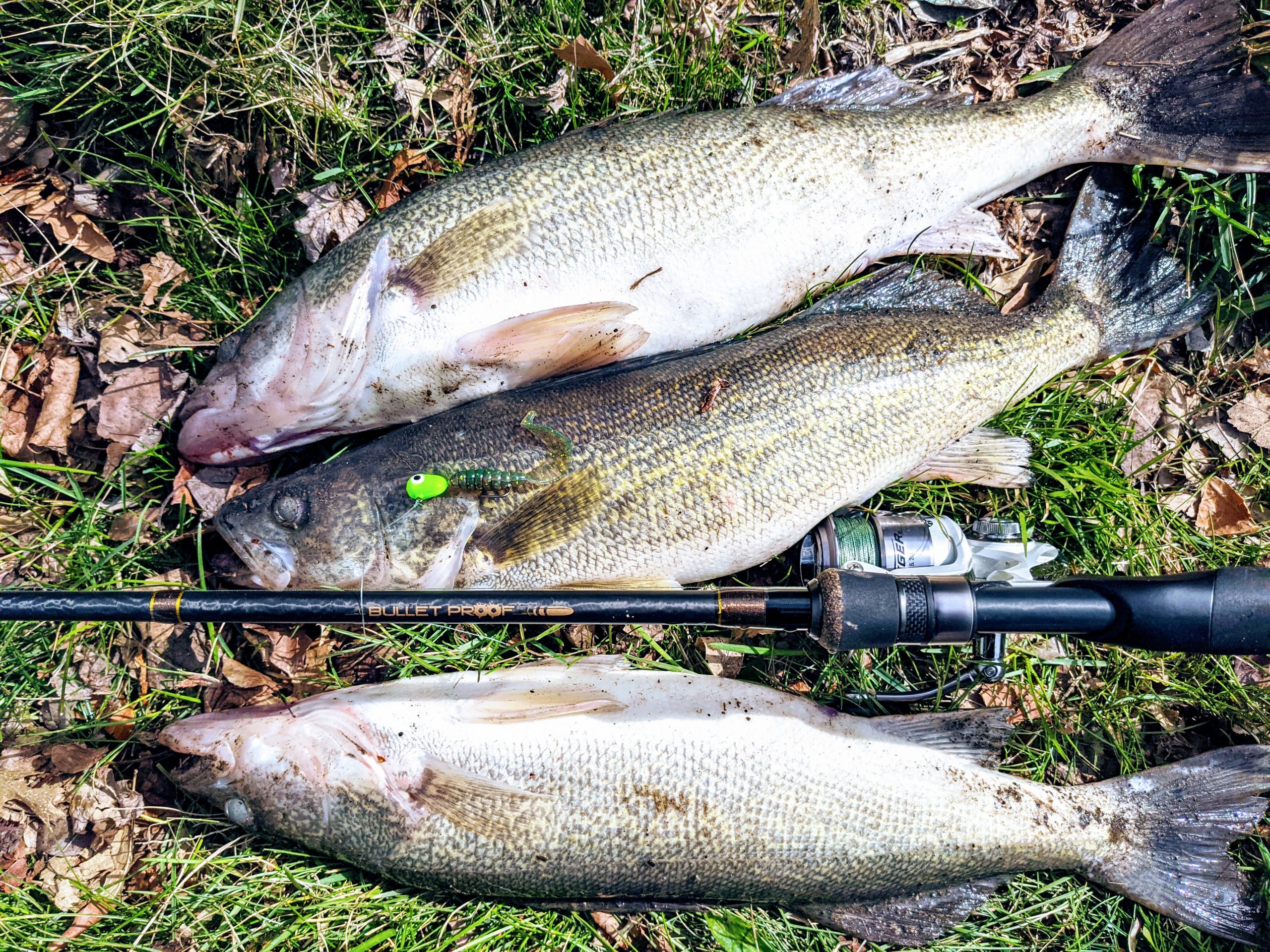 Maumee river Report- 28 March 2021