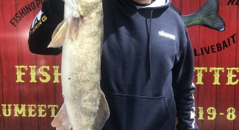 Maumee River Report- 3 April 2018