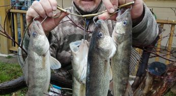 Maumee River Report- April 4th 2018