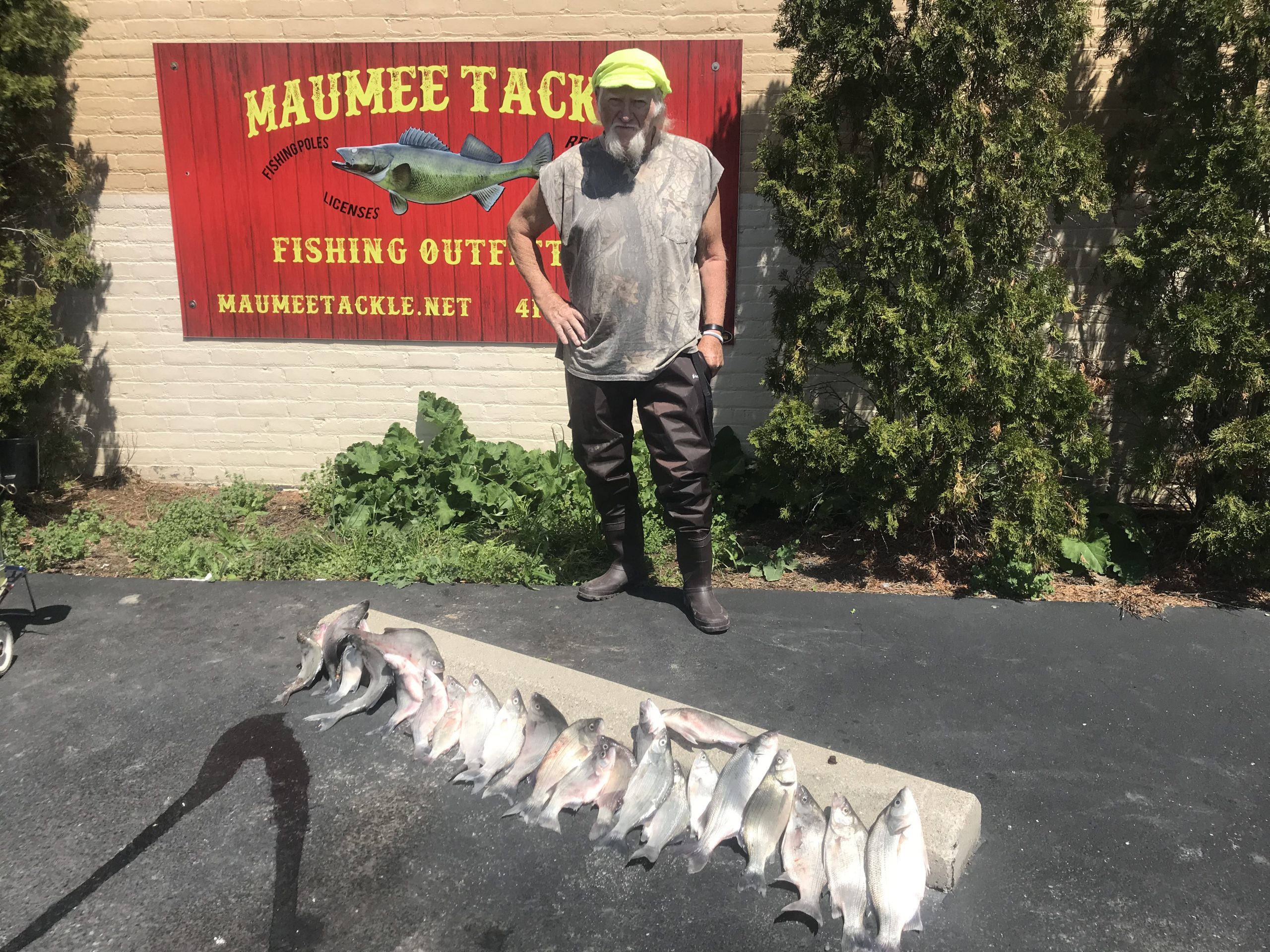 Maumee River Report- May 8 , 2018- White Bass Hitting