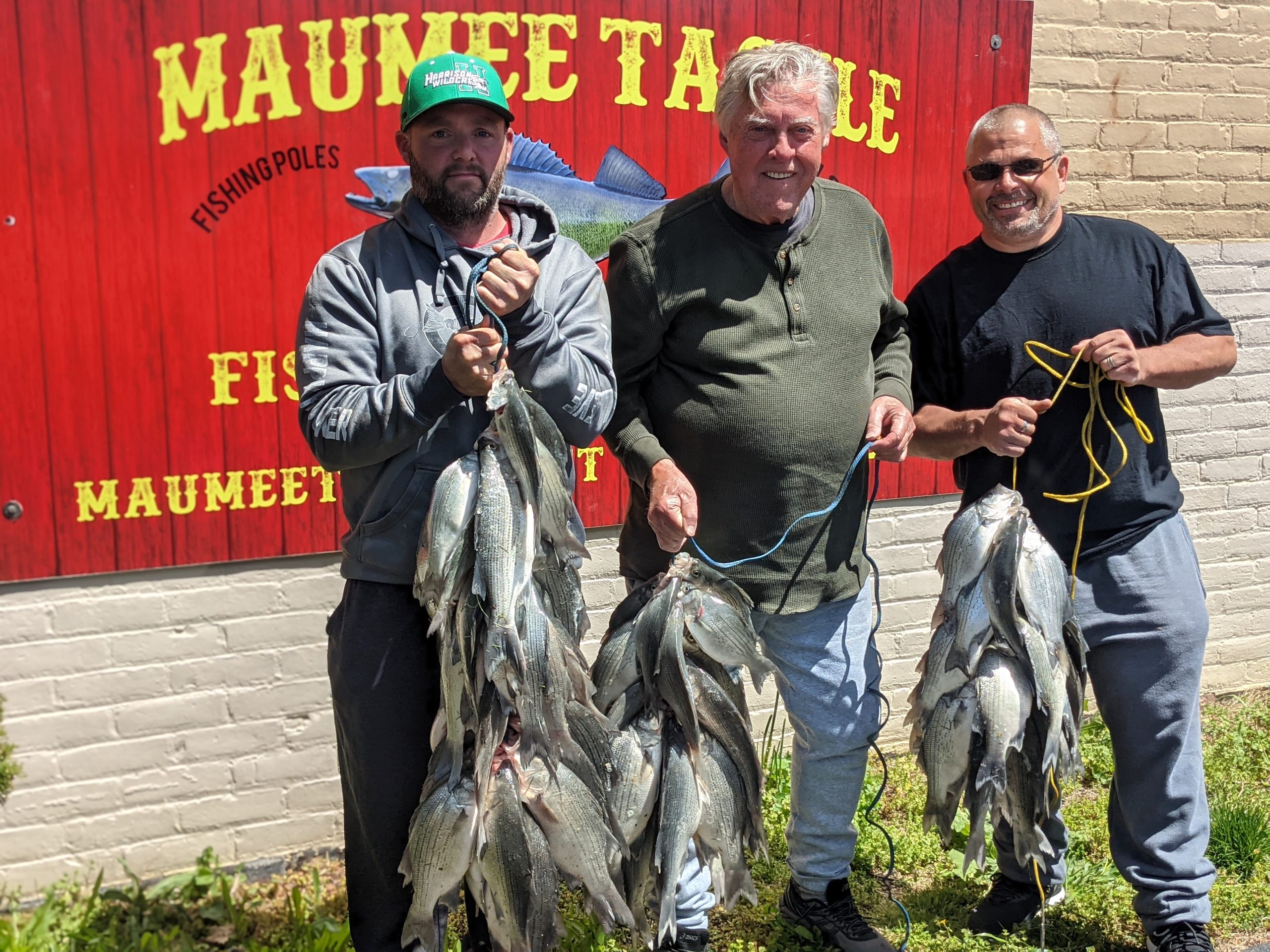 Maumee River report-9 May 2021- another good white bass day-Fresh batch of Minnows in stock.