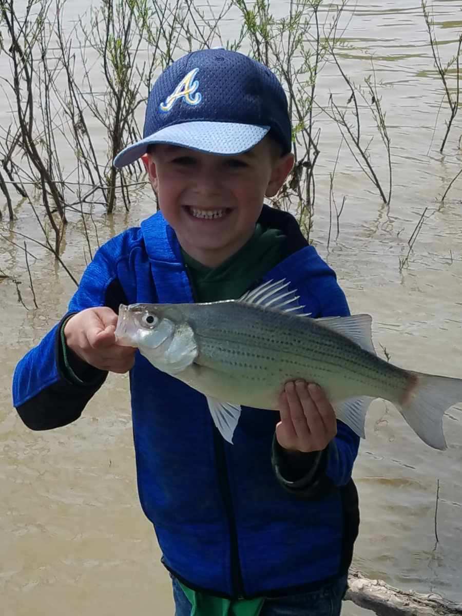 Maumee River Report- May 13, 2019