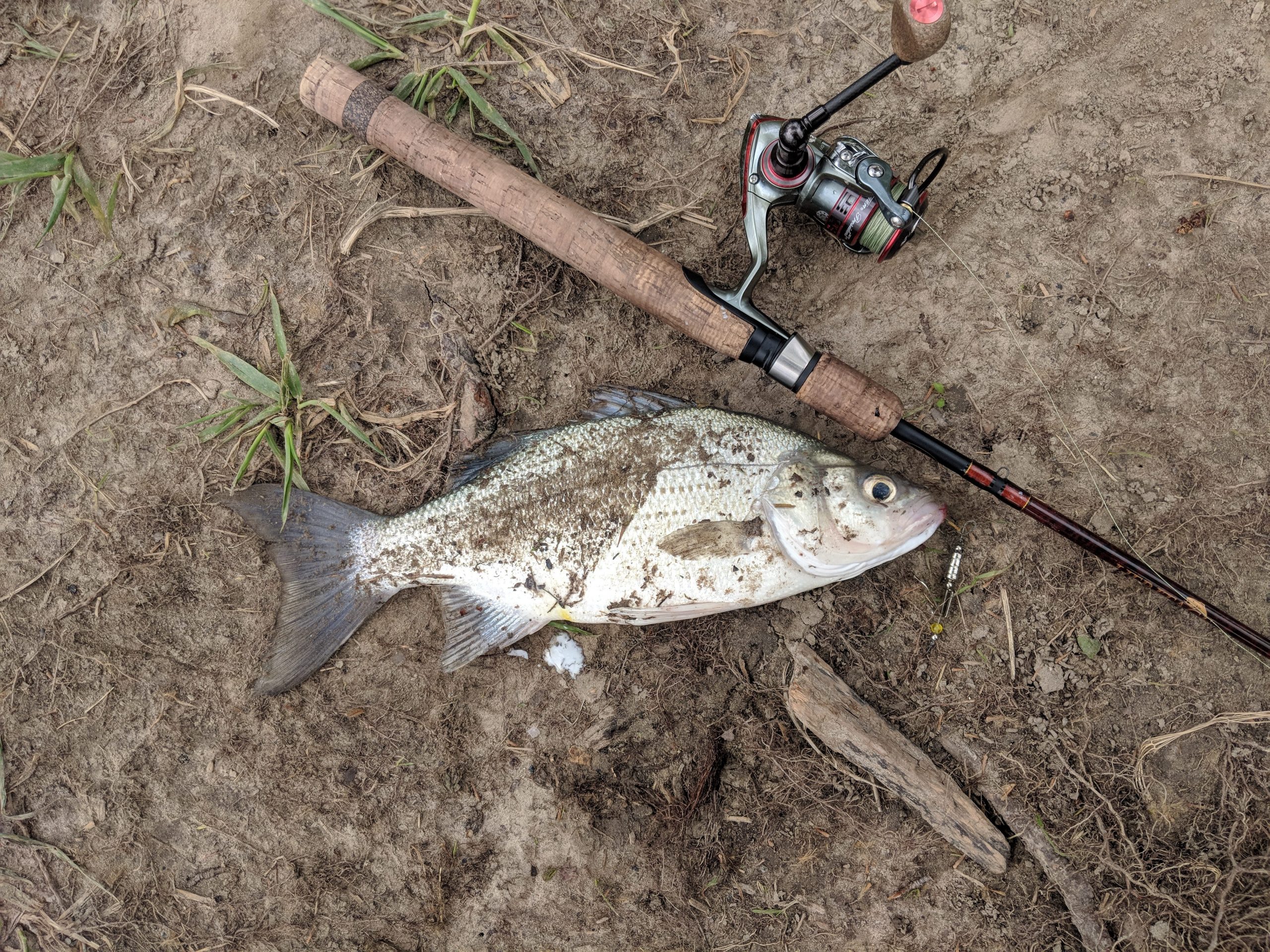 Maumee River Report- 16 May, 2019