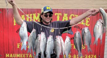 Maumee River Report- May 22, 2018- We have shiners ..for now