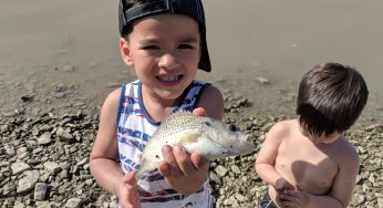 Maumee River Report- 24 May 18