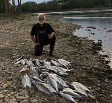 Maumee River Report- 24 May, 2019