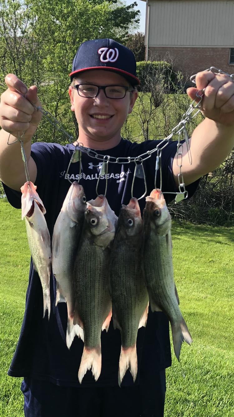 Maumee River report- 27 May, 2020