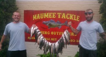 Lake Erie and Maumee River Report- June 3, 2018