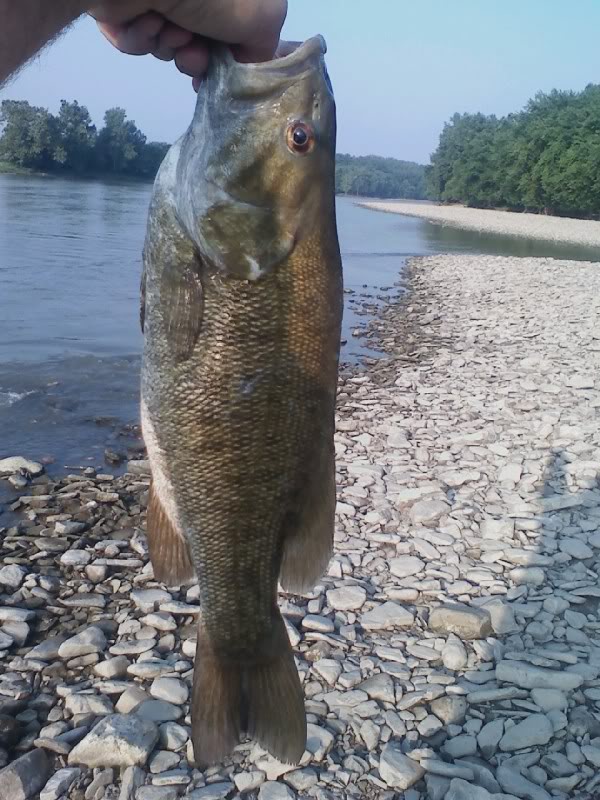 Maumee River Report- 9 June 2017