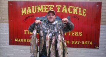 Maumee River Report September 3,2017- Labor Day Weekend