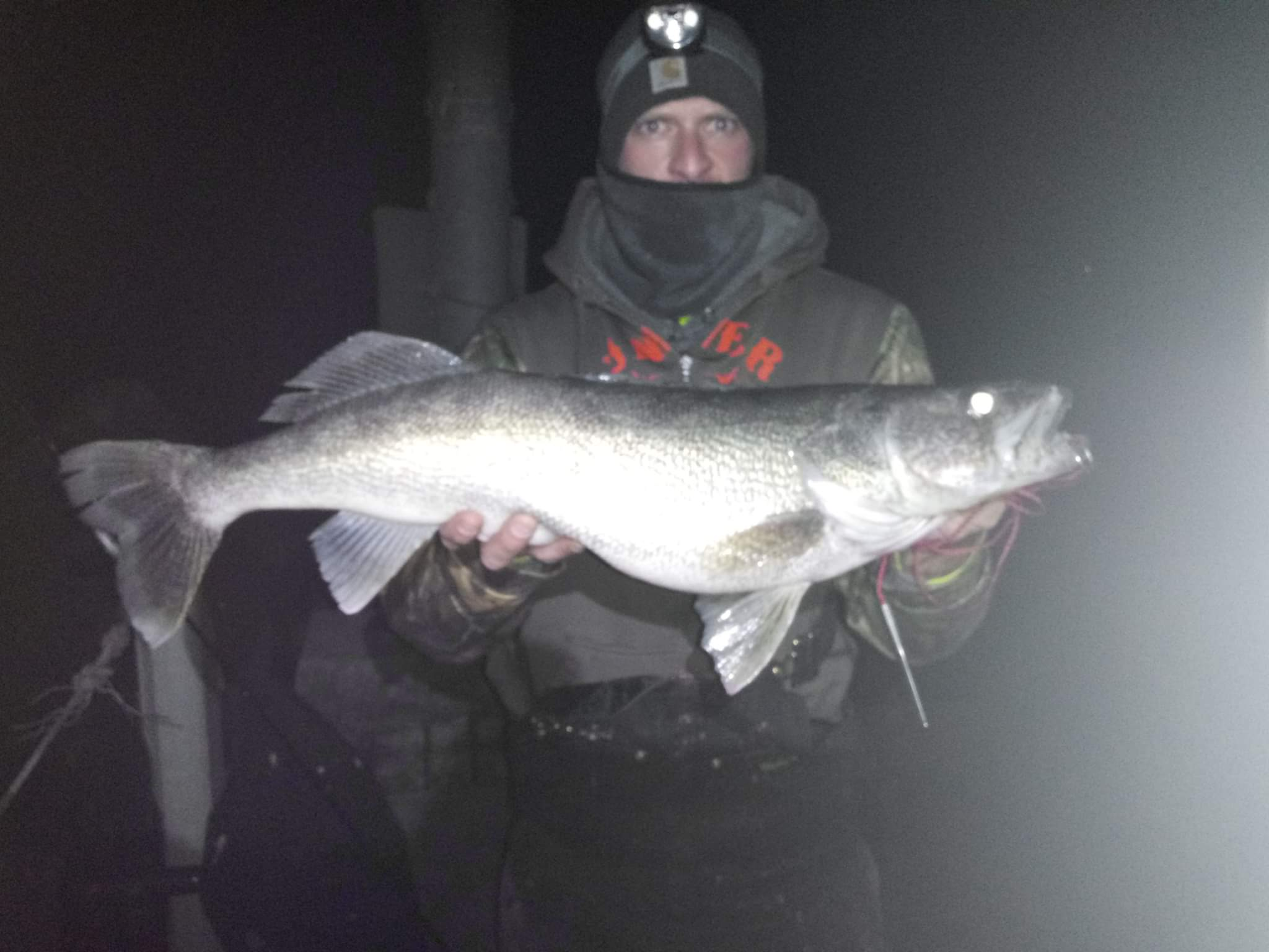 Maumee River and Lake Erie Report– November 21,  2019
