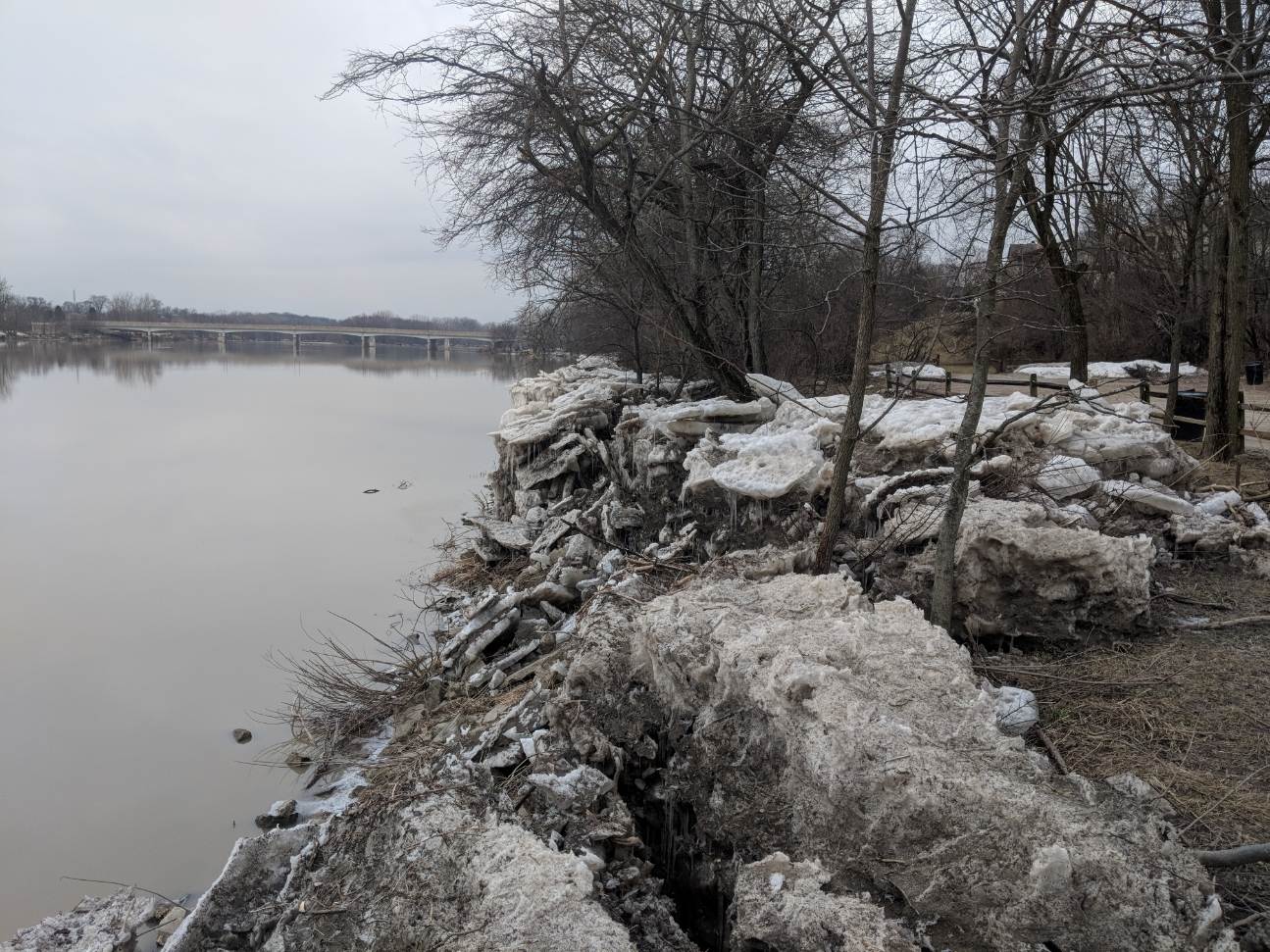 Maumee River Report , 4 March 2019