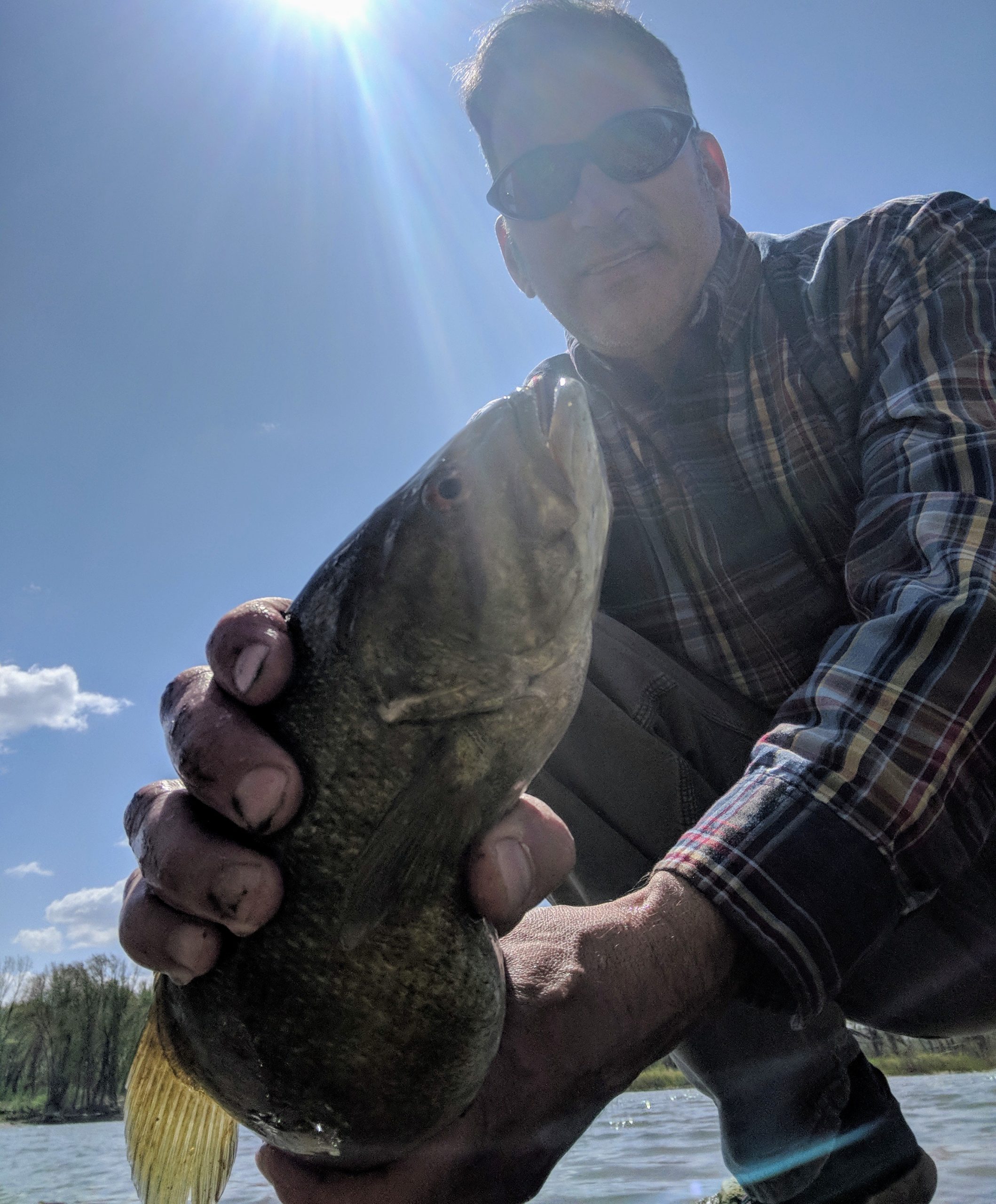 maumee river report, 8 may 2020-Kayak Season!