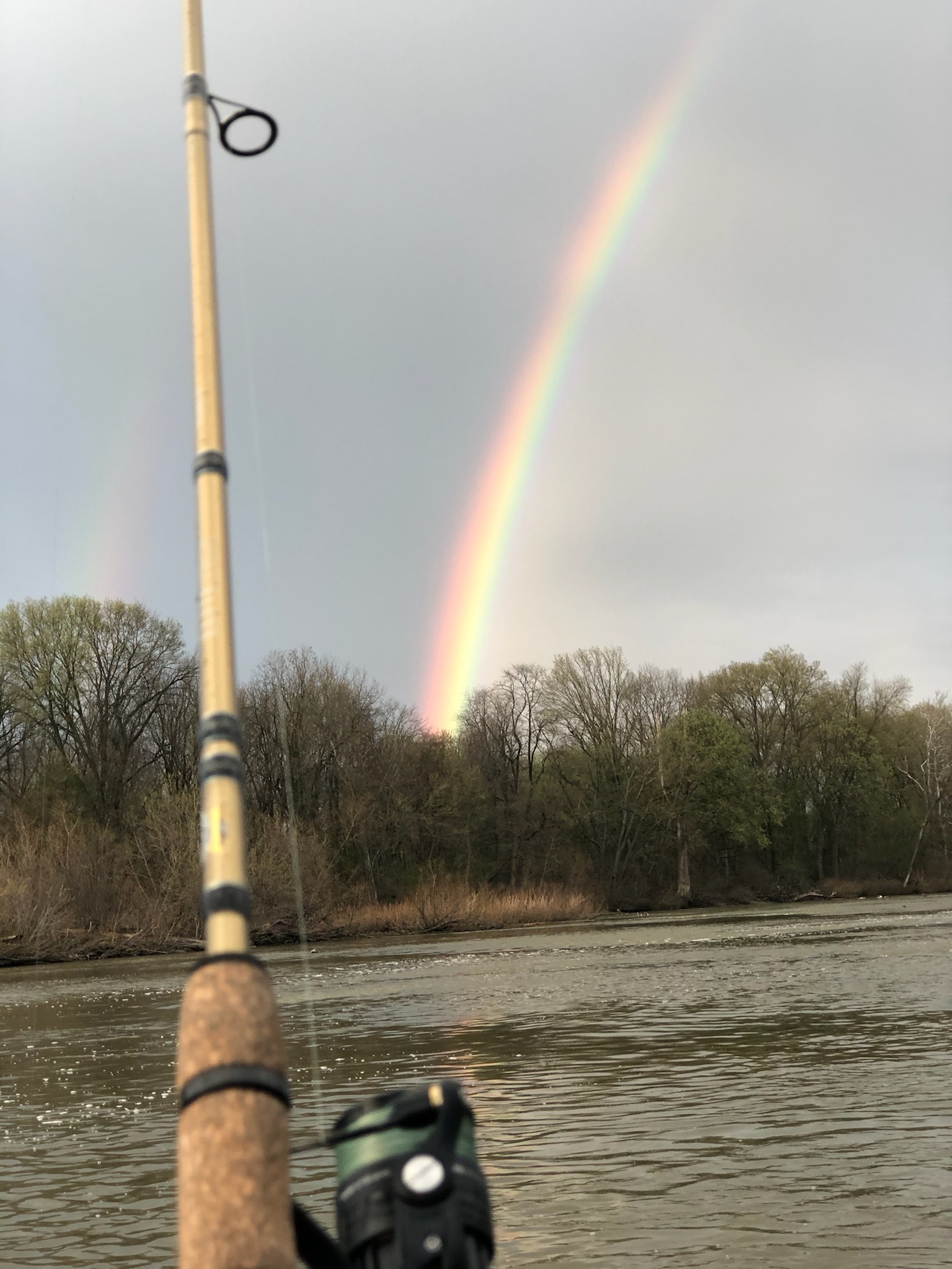 Maumee river report..11 april 2021