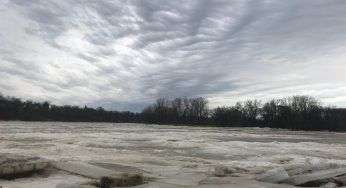Maumee River Report- 22 January 2018