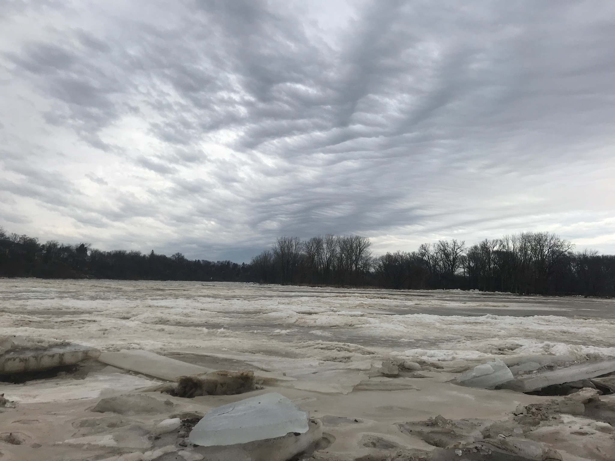 Maumee River Report- 22 January 2018