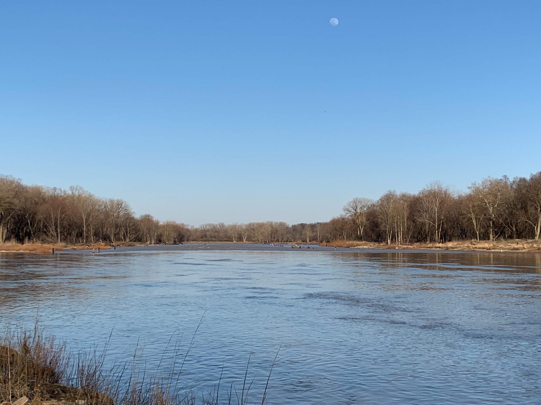 Maumee river fishing..6 April 20