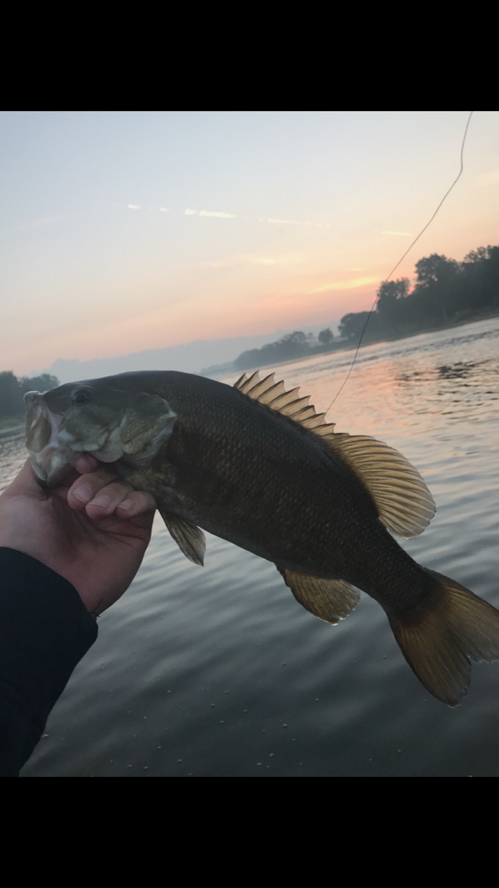 Maumee River Report September 18, 2018