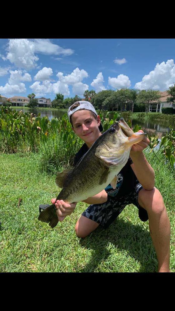 Maumee River Conditions- 17 July 2019