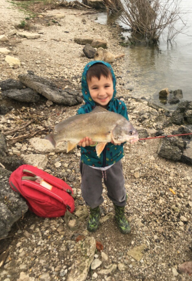 maumee river report-12 December 2020