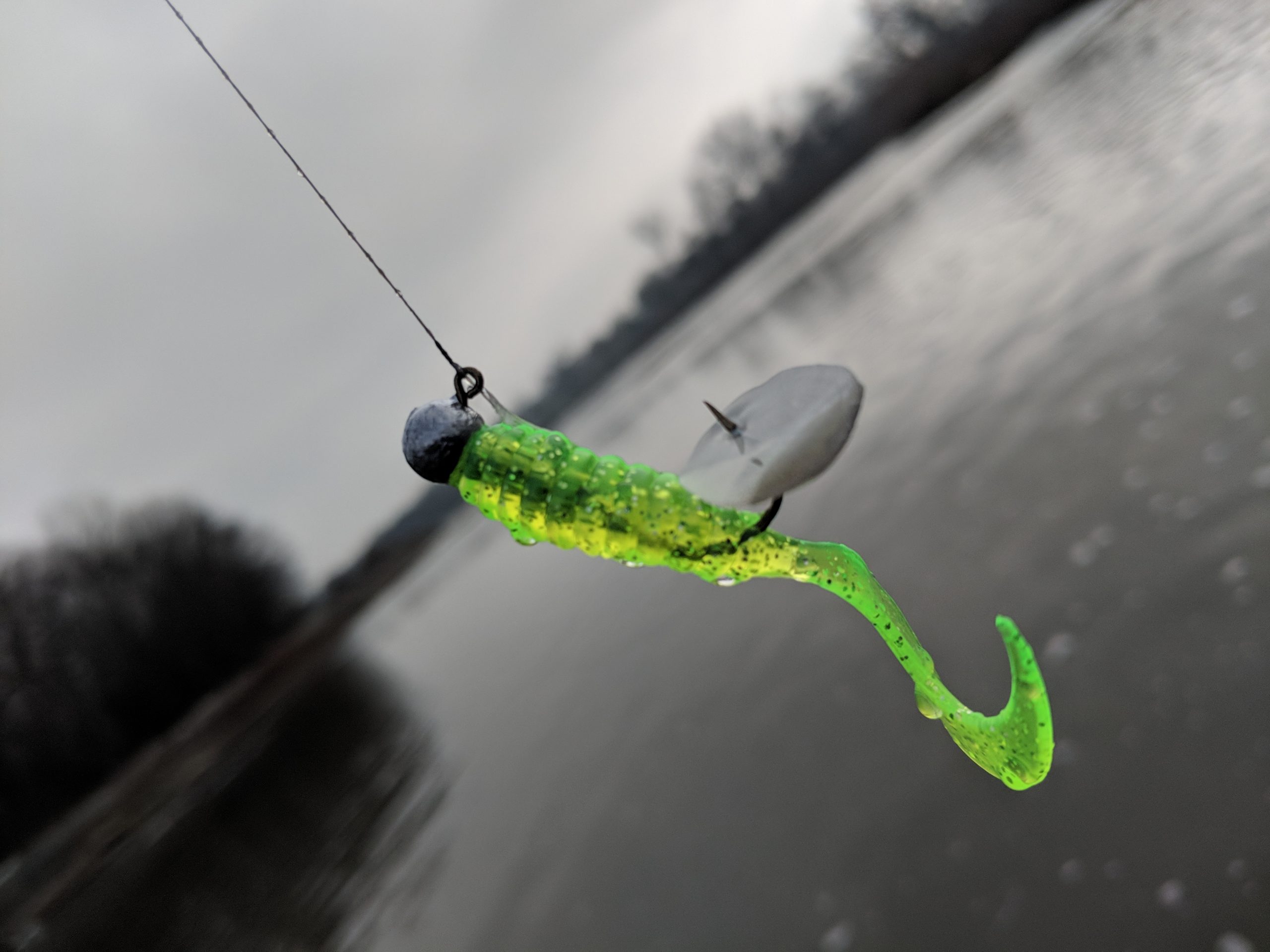 Maumee River Report- December 30, 2019