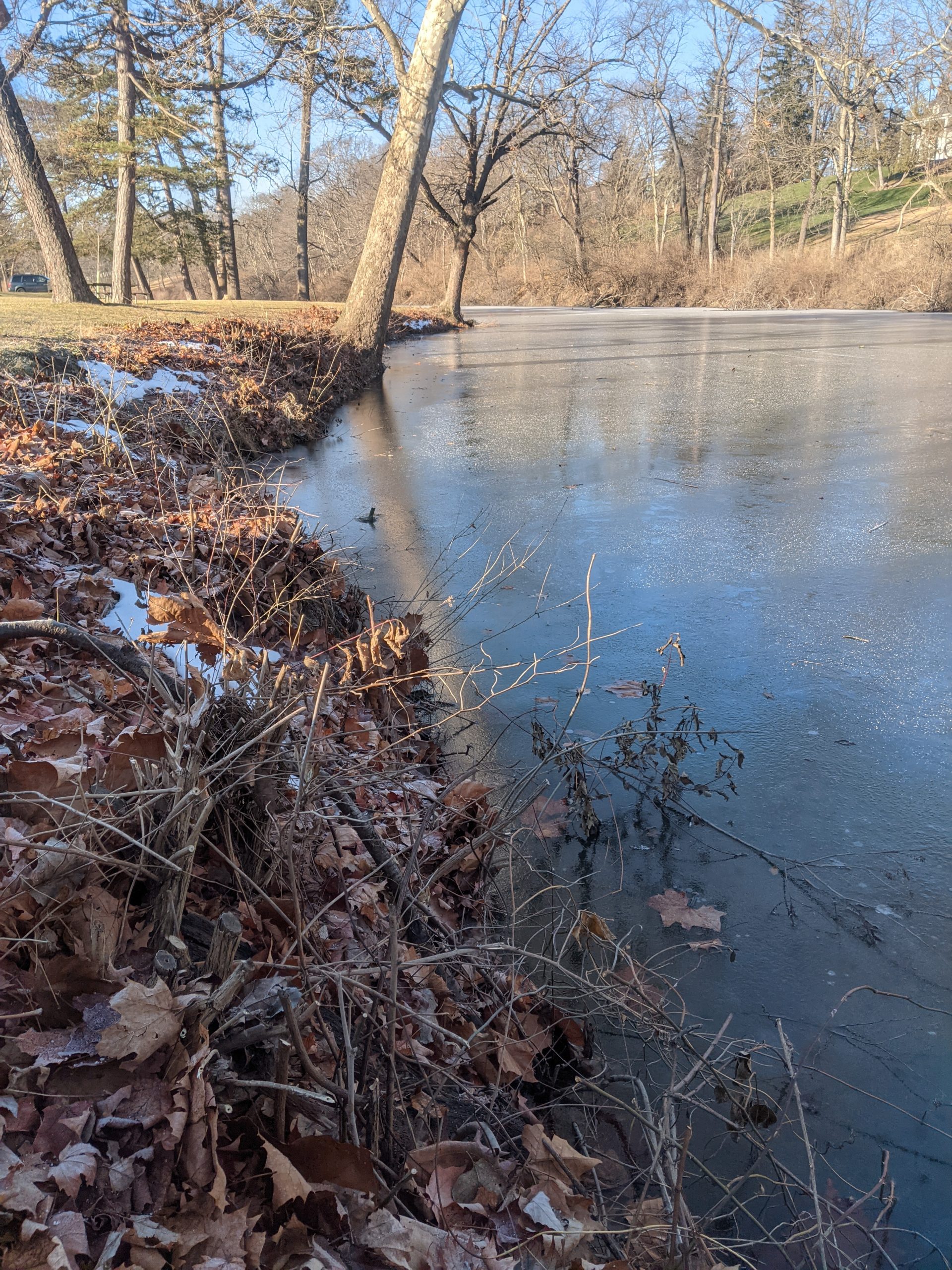 Maumee river Report- 30 December 2020