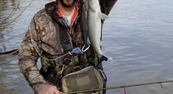 Maumee River Report- 5 April 2018