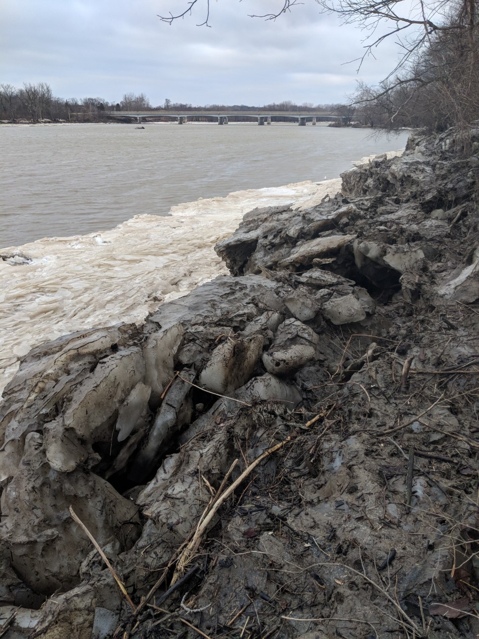 Maumee River Report- 11 March 2019