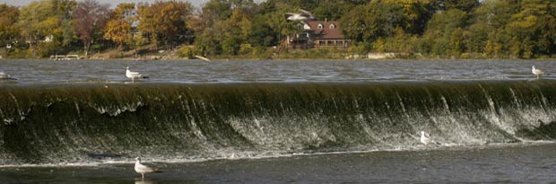 Maumee River Report – 31 May 2017