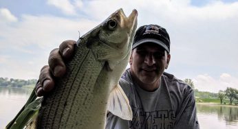 Maumee River Report- 23 May 2018