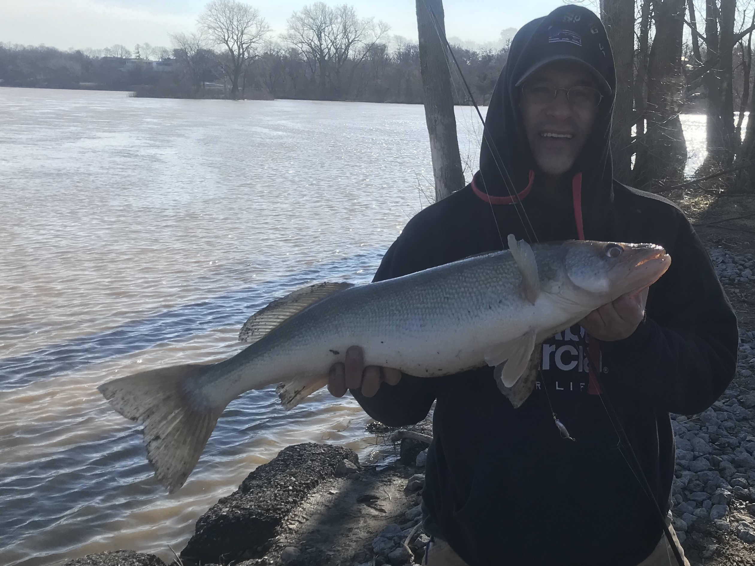 Maumee river Report March 1st ,2020