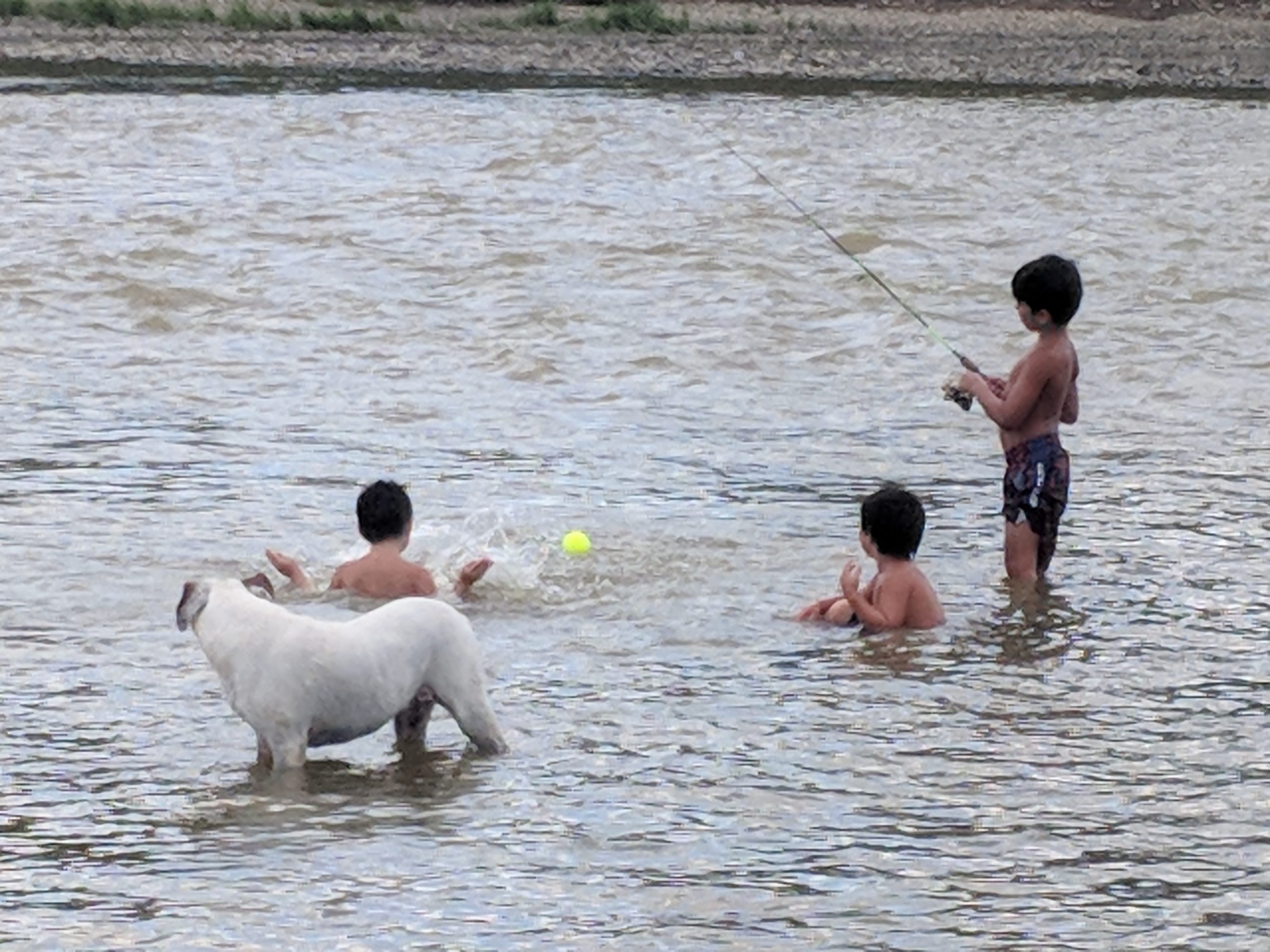 Maumee River Report- 31 July, 2019