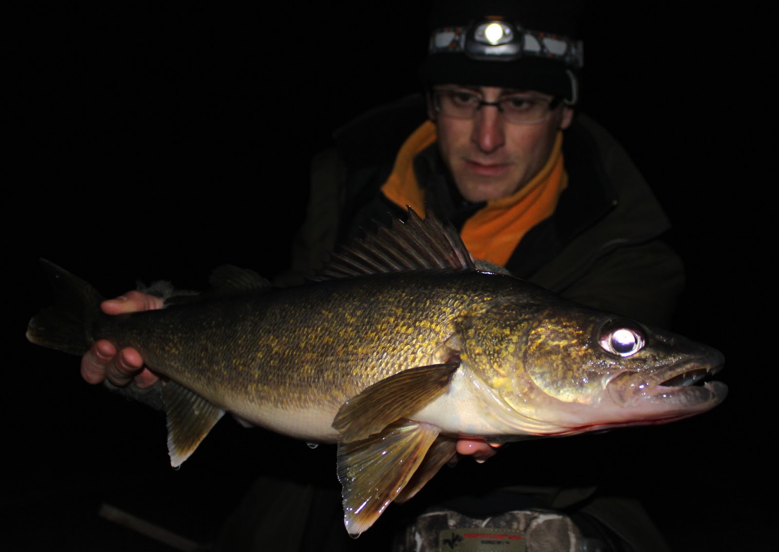 Maumee River and Lake Erie Conditions- November 9, 2019