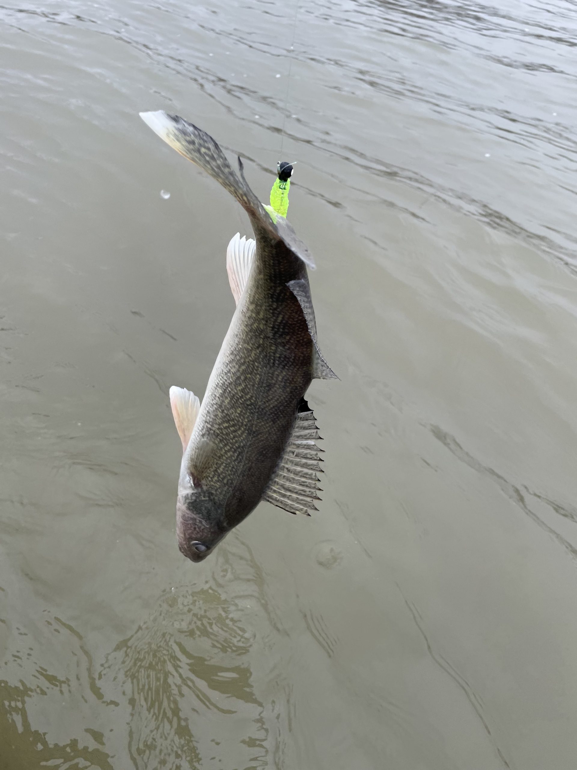 Maumee river report- 18 march 2023