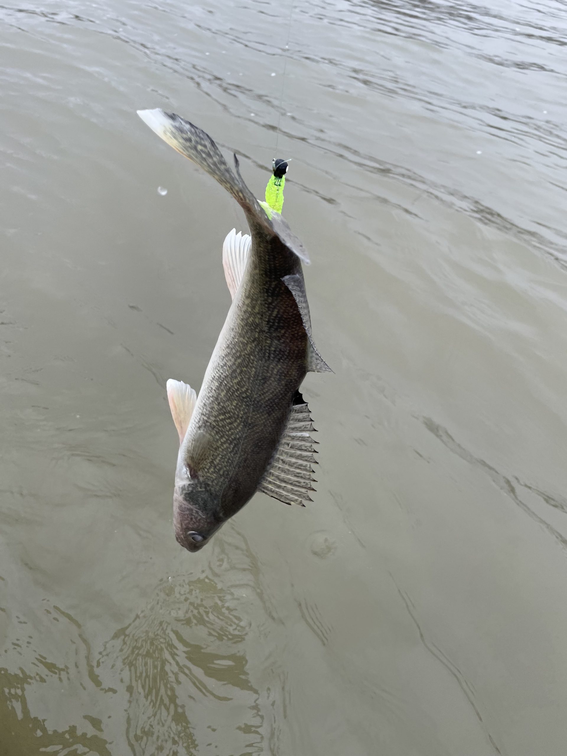 Epid day fishing the Maumee River 05/20/2023. #kidsfishing