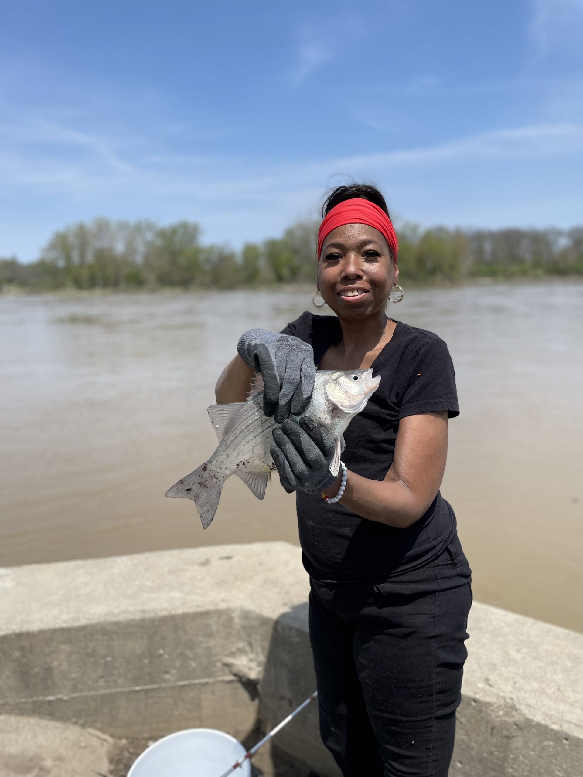 Maumee river report 11 May 22-Kayak trips starting this weekend-white bass fever