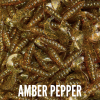 Amber Pepper
