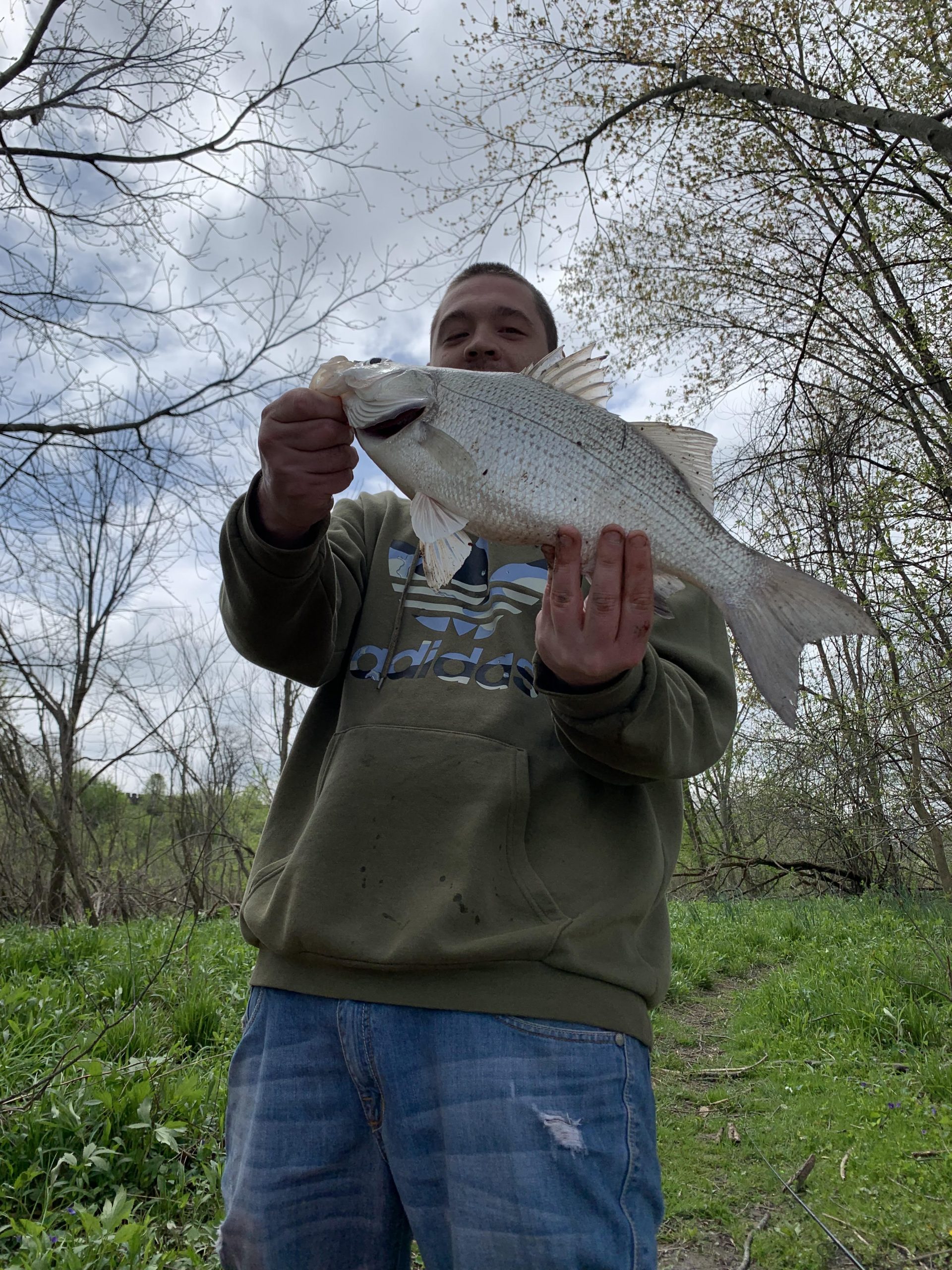 Maumee river report.–fresh minnows and waxworms