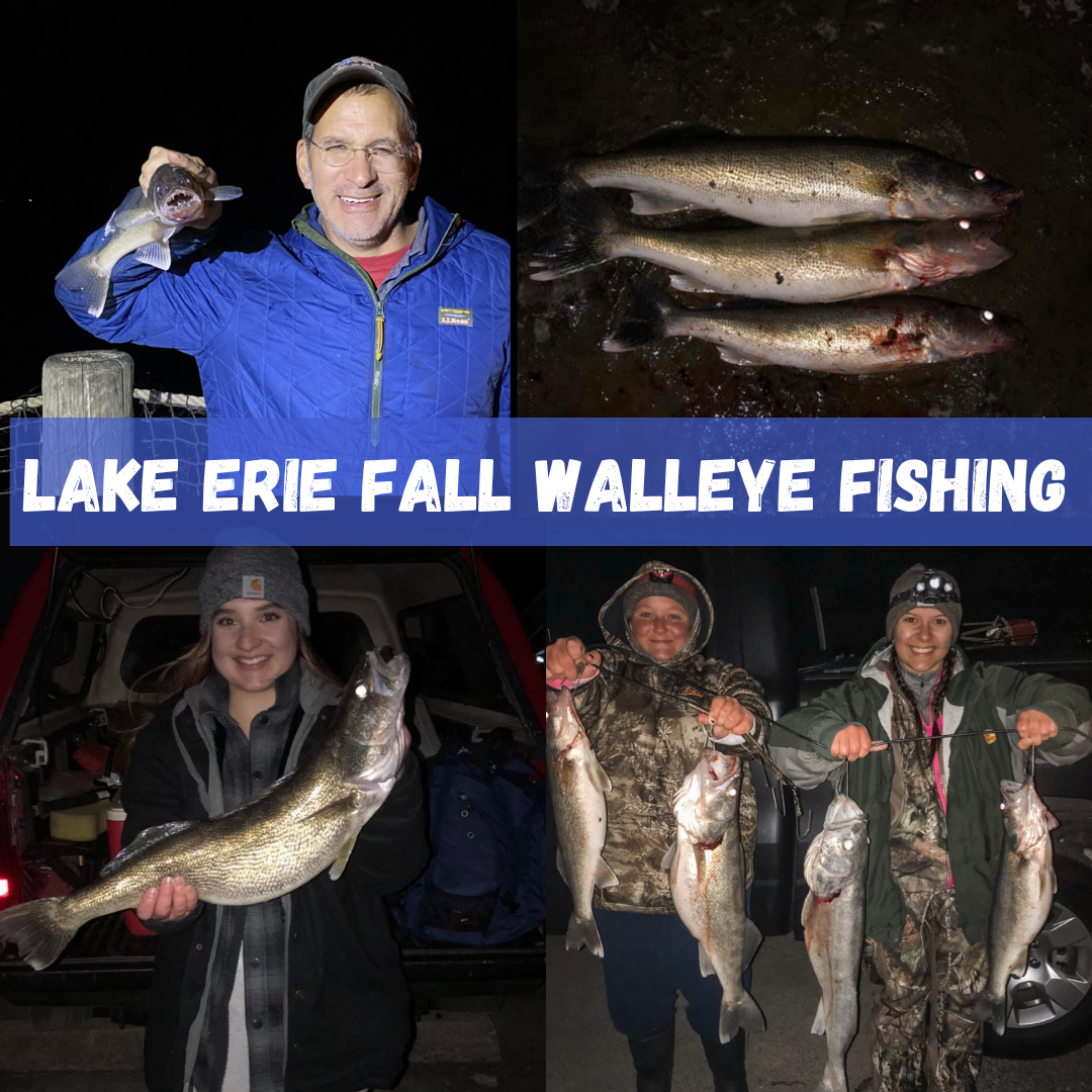 Lake Erie Fall Walleye Fishing 101