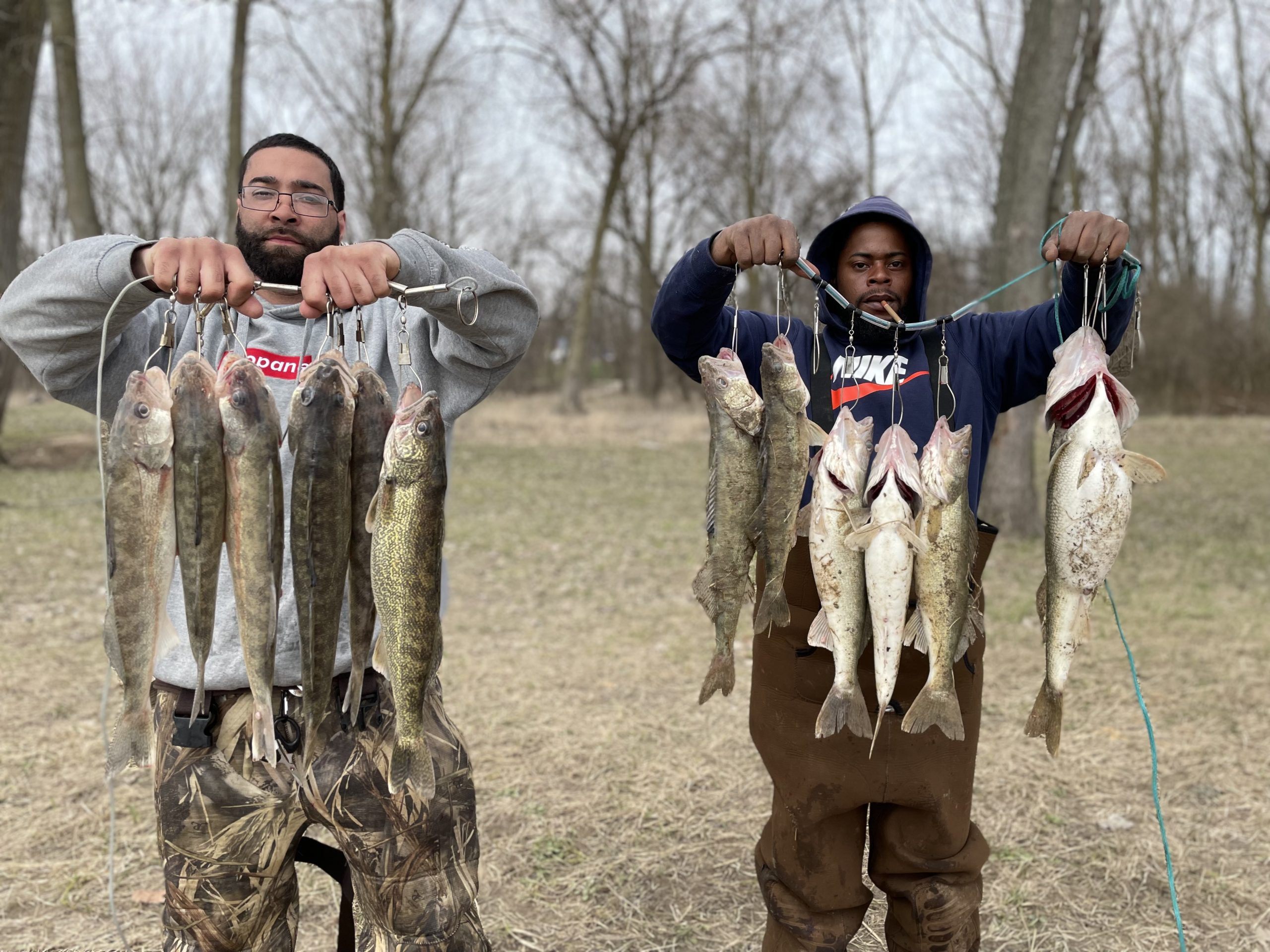 Maumee River Report- Walleye run info